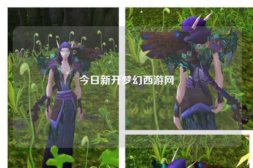 今日新开梦幻西游网